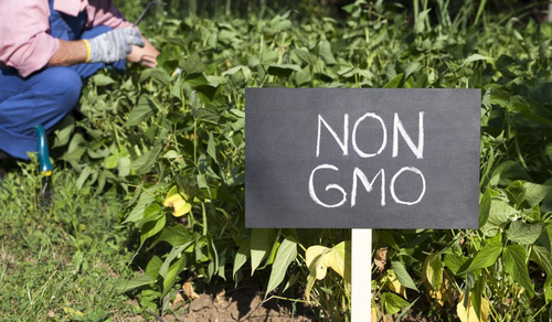 Non-GMO